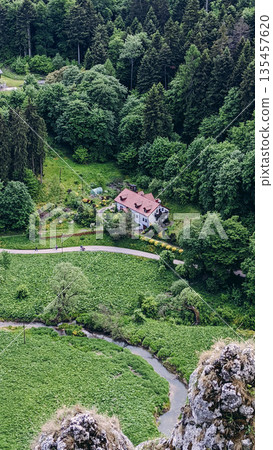 Secluded House in Lush Green Valley Surrounded by Forest 135457620