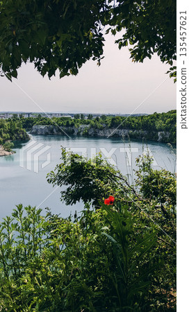 Tranquil lake surrounded by rocky cliffs and dense forest, framed by lush foliage with a single red wildflower in the foreground. Tranquil lake surrounded by rocky cliffs and dense forest, framed by lush foliage with a single red wildflower in the foreground. 135457621