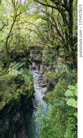 Narrow Gorge with Flowing River in Lush Forest Narrow Gorge with Flowing River in Lush Forest 135457623