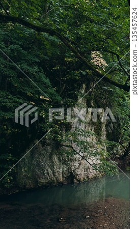 Rock Cliff and Forest Reflections in Stream Rock Cliff and Forest Reflections in Stream 135457624