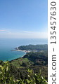 Coastal View with Forest and Beach 135457630
