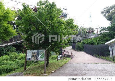 Matsuyama Castle/Joyama Park: Shinonomeguchi Castle Trail (Matsuyama City, Ehime Prefecture) Matsuyama Castle/Joyama Park: Shinonomeguchi Castle Trail (Matsuyama City, Ehime Prefecture) 135457702