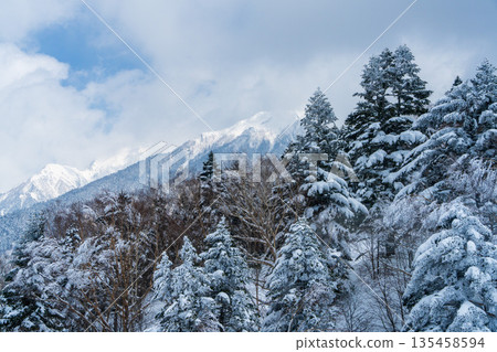新穗高冬季的雪景和針葉林 135458594