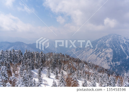 Snowy scenery and coniferous forests in the winter at Shinhotaka 135458596
