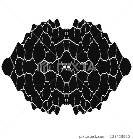 Symmetrical Black Abstract Graphic with White Veined Texture, Organic Ornate Pattern for Modern Background Design Symmetrical Black Abstract Graphic with White Veined Texture, Organic Ornate Pattern for Modern Background Design 135458990