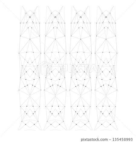 Symmetrical Geometric Line Art Pattern with Vertical Mesh Structure, Abstract Technical Drawing and Architectural Concept 135458993