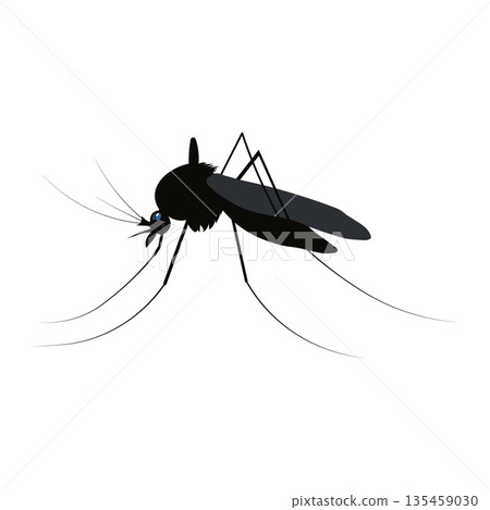 Mosquito Silhouette Profile Icon, Pest Control and Disease Prevention Concept for Malaria and Zika Awareness Mosquito Silhouette Profile Icon, Pest Control and Disease Prevention Concept for Malaria and Zika Awareness 135459030