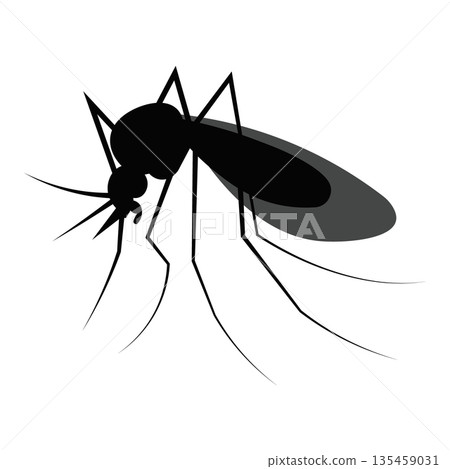 Detailed Mosquito Insect Silhouette, Pest Management and Parasitic Disease Vector for Scientific Illustration Detailed Mosquito Insect Silhouette, Pest Management and Parasitic Disease Vector for Scientific Illustration 135459031