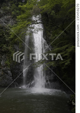 風景與瀑布 135459270