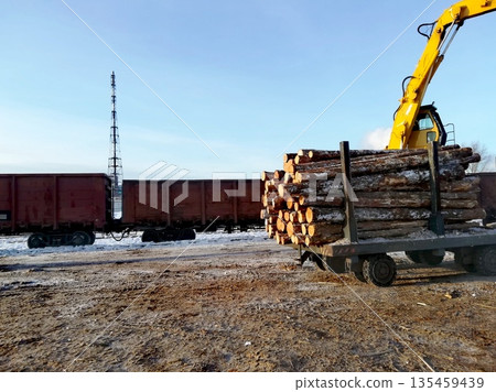 Excavator Loading Timber Logs onto Train. excavator with grapple claw loading pine logs onto freight train wagon at lumber yard. Forestry industry, timber transportation, logging concept. Excavator Loading Timber Logs onto Train. excavator with grapple claw loading pine logs onto freight train wagon at lumber yard. Forestry industry, timber transportation, logging concept. 135459439