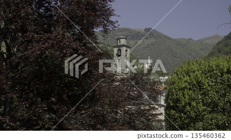 Esino lario bell tower emerging from lush green foliage. Action 135460362