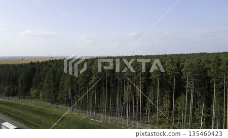 Green pine forest separating farmland and highway. Clip 135460423
