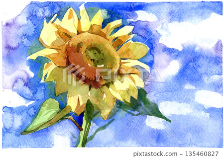 Watercolor painting of a bright sunflower against a blue sky 135460827