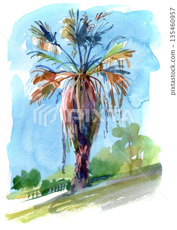 Watercolor painting of a tall palm tree under a bright blue sky 135460957