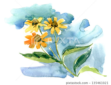 Watercolor painting of yellow wildflowers on a soft blue background Watercolor painting of yellow wildflowers on a soft blue background 135461021