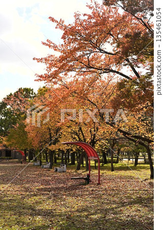 秋日天空下,島見綠地公園的紅葉層層疊疊(新潟縣新潟市) 秋日天空下,島見綠地公園的紅葉層層疊疊(新潟縣新潟市) 135461054