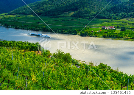 Vineyards and Donau river in Wachau valley Austria with autumn colored leaves, small traditional village and boats on sunny day. Traditional wine and tourism region, 135461455