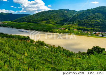 Vineyards and Donau river in Wachau valley Austria with autumn colored leaves, small traditional village and boats on sunny day. Traditional wine and tourism region, Vineyards and Donau river in Wachau valley Austria with autumn colored leaves, small traditional village and boats on sunny day. Traditional wine and tourism region, 135461456