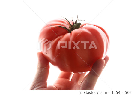 Red raw tomatoes served fresh as natural and healthy food. 135461505