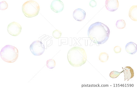 Soap bubbles and hedgehog background Soap bubbles and hedgehog background 135461590