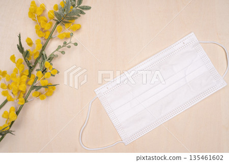 花粉症的擔憂和應對措施圖片:含羞草和白色口罩,木紋背景 花粉症的擔憂和應對措施圖片:含羞草和白色口罩,木紋背景 135461602