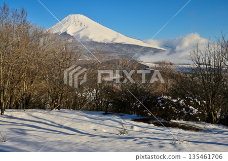 清晨從足座山脈黑嶽白雪皚皚的山頂眺望富士山 135461706