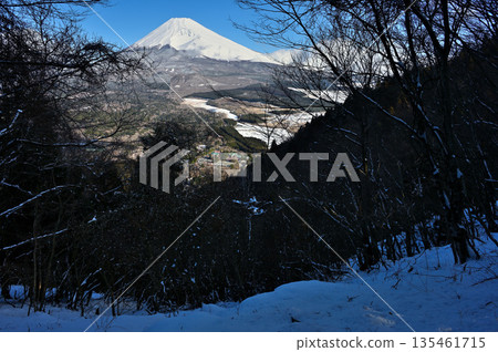 從足座山脈的黑嶽展望台上可以看到白雪皚皚、環繞著雪林的富士山。 135461715