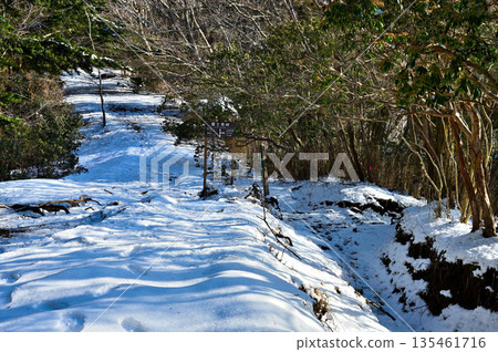 Mount Echizen in the Aitaka Mountains, Fujimi Pass covered in snow Mount Echizen in the Aitaka Mountains, Fujimi Pass covered in snow 135461716