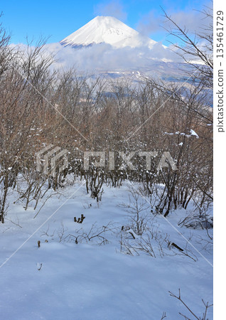 Mount Echizen in the Ashitaka Mountains: Mount Fuji in the dead of winter as seen from the snowy Fujimidai platform Mount Echizen in the Ashitaka Mountains: Mount Fuji in the dead of winter as seen from the snowy Fujimidai platform 135461729