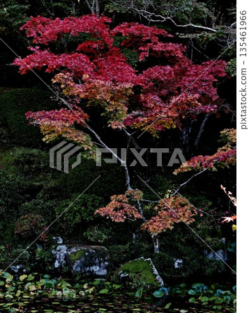 孔雀寺的風景 孔雀寺的風景 135461966