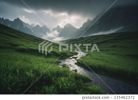 Tranquil Meadow and Misty Mountains 135462372