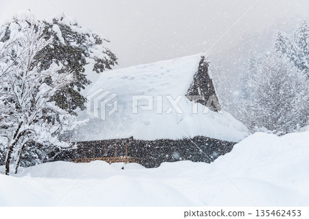 雪白川鄉明善寺 135462453