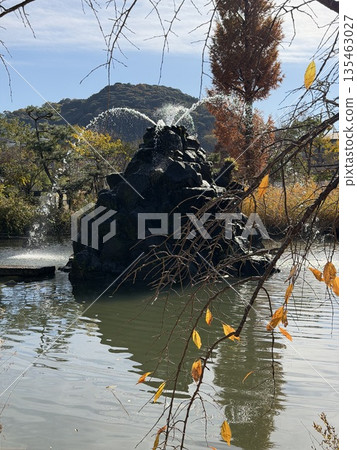 噴泉池 噴泉池 135463027