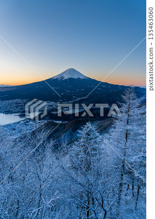 Snow-covered Shindo Pass with frost-covered trees and Mount Fuji at dawn Snow-covered Shindo Pass with frost-covered trees and Mount Fuji at dawn 135463060