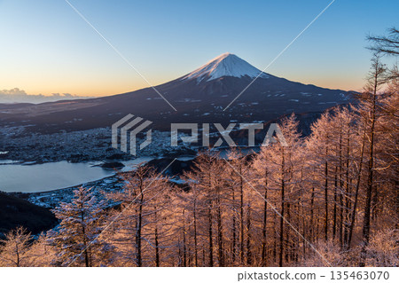 Snow-covered Shindo Pass with frost-covered trees and Mount Fuji at dawn Snow-covered Shindo Pass with frost-covered trees and Mount Fuji at dawn 135463070