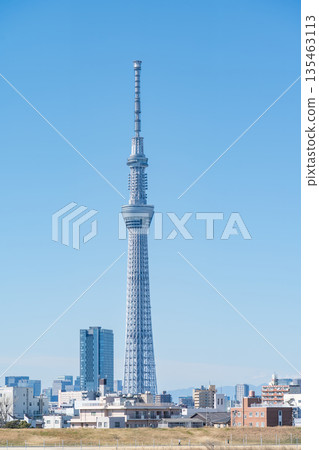 "Tokyo" Tokyo Skytree seen from the Arakawa riverbed 135463113