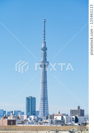 "Tokyo" Tokyo Skytree seen from the Arakawa riverbed 135463115