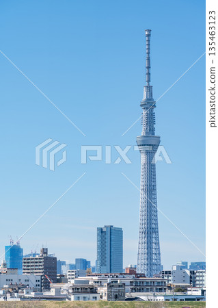 從荒川河床看到的「東京」東京晴空塔 從荒川河床看到的「東京」東京晴空塔 135463123