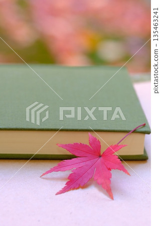 Autumn image material of maple leaf bookmark reading Autumn image material of maple leaf bookmark reading 135463241
