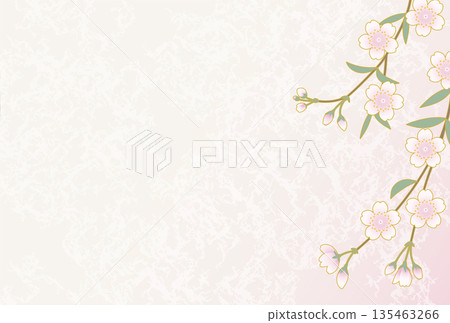 Decorative illustration of weeping cherry blossoms arranged on a pale gradient background. Japanese-style and elegant spring material. Decorative illustration of weeping cherry blossoms arranged on a pale gradient background. Japanese-style and elegant spring material. 135463266