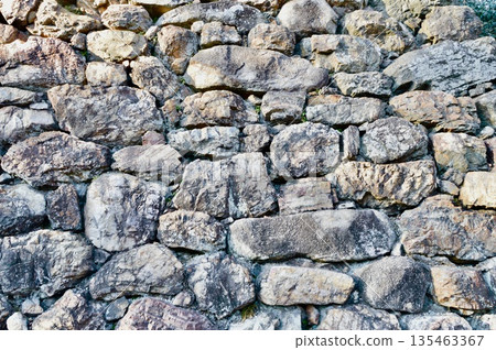 Ishigaki of Inuyama Castle (Inuyama City, Aichi) Ishigaki of Inuyama Castle (Inuyama City, Aichi) 135463367