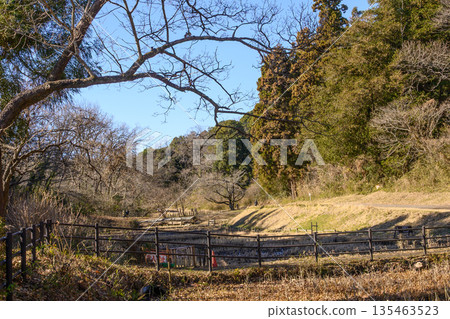 Winter rice terrace scenery 135463523