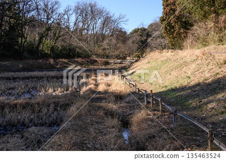 冬季梯田景色 135463524