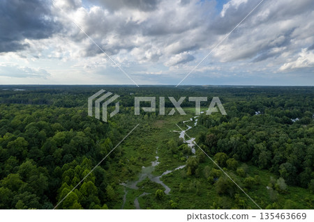 A lush green forest with a river running through it. Richmond, USA A lush green forest with a river running through it. Richmond, USA 135463669