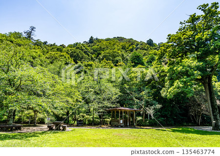 初夏的打椿公園的椿平和打椿山2(鳥取縣倉吉市) 初夏的打椿公園的椿平和打椿山2(鳥取縣倉吉市) 135463774