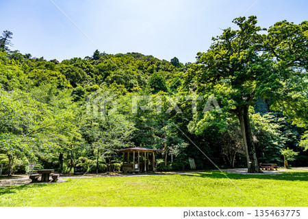 初夏的打椿公園的椿平和打椿山1,鳥取縣倉吉市 初夏的打椿公園的椿平和打椿山1,鳥取縣倉吉市 135463775