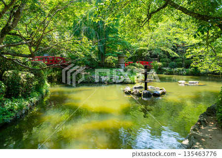 初夏時節，陽光透過樹葉灑在宇津吹公園的羽衣池上，鳥取縣倉吉市 135463776