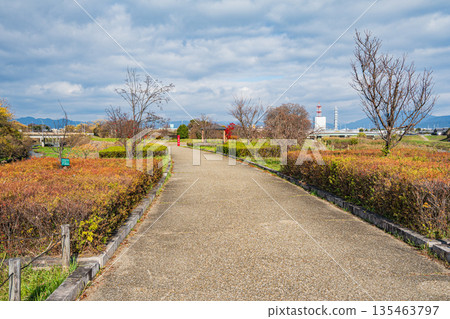 Koedabashi Park, a small park along the Kamo River, Kyoto City Koedabashi Park, a small park along the Kamo River, Kyoto City 135463797