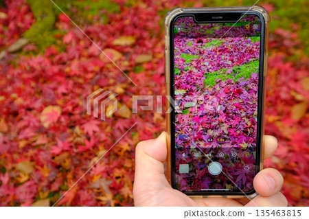 用智慧型手機拍攝的秋葉紀念照 135463815