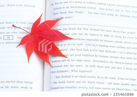 英文句子和秋葉圖片 135463896